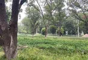 Foto de inmueble en Sin nombre de calle, Col. Ojo de Agua C.P. 27984, Parras