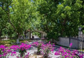 Foto de inmueble en Calzada del Marquez, Col. Parras de La Fuente Centro C.P. 27980, Parras
