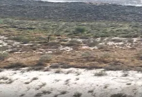 Foto de inmueble en Sin nombre de calle, Col. San Juan de Amargos C.P. 25914, Ramos Arizpe