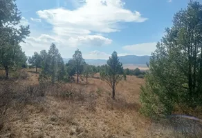 Foto de inmueble en Ejido San Juanito #sn, Col. San Juanito (San Juanito de los Valdez) C.P. 25385, Arteaga