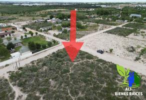 Foto de inmueble en Terreno en Venta 5 mil Mts. Col. El Jardin Km10 PN- Nava, Col. Venustiano Carranza C.P. 26094, Piedras Negras