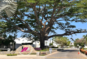 Foto de inmueble en Arbol De Agua, Col. Elías Zamora Verduzco C.P. 28869, Manzanillo
