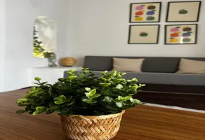 Foto de inmueble en Puerto las Hadas #558Int. 558, Col. Las Hadas C.P. 28867, Manzanillo