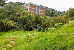 Foto de inmueble en Colina, Col. Ampliación Las Aguilas C.P. 01759, Álvaro Obregón