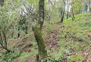 Foto de inmueble en Ahuatenco #230, Col. Cuajimalpa C.P. 05000, Cuajimalpa de Morelos