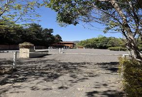 Foto de inmueble en PREDIO TEHUIXTLA CAM MAGD PETLACALCO, Col. La Magdalena Petlacalco C.P. 14480, Tlalpan