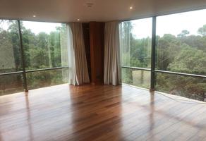 Foto de inmueble en , Col. Polanco V Sección C.P. 11560, Miguel Hidalgo
