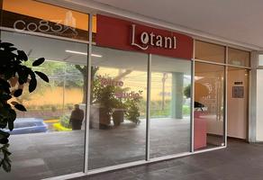 Foto de inmueble en Av. México, Col. San Jerónimo Lídice C.P. 10200, La Magdalena Contreras