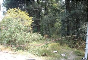 Foto de inmueble en Priv Cruz Blanca, Col. San Lorenzo Acopilco C.P. 05410, Cuajimalpa de Morelos