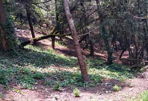 Foto de inmueble en , Col. Santa Rosa Xochiac C.P. 01830, Álvaro Obregón