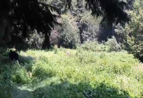 Foto de inmueble en Carretera Picacho - Ajusco, Col. Santo Tomas Ajusco C.P. 14710, Tlalpan