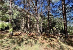 Foto de inmueble en Carretera Picacho Ajusco, Col. Santo Tomas Ajusco C.P. 14710, Tlalpan