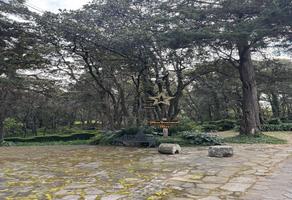 Foto de inmueble en Camino Real, Col. Tlalpuente C.P. 14460, Tlalpan
