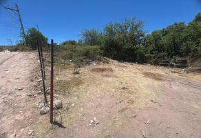 Foto de inmueble en Arroyo el tagarete, Col. El Pueblo C.P. 34649, Santiago Papasquiaro