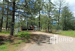 Foto de inmueble en , Col. Llano Grande C.P. 34357, Durango