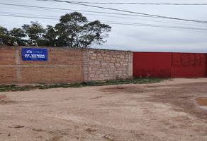 Foto de inmueble en Fraternidad, Col. Luz del Carmen C.P. 34164, Durango
