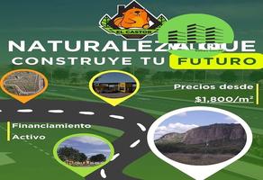 Foto de inmueble en Castor, Col. San Vicente de Chupaderos C.P. 34394, Durango
