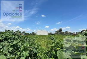 Foto de inmueble en Terreno en Venta, Av. Comonfort, Col. 18 de Marzo C.P. 36786, Salamanca