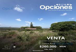 Foto de inmueble en Terrenos en Venta en Loma Azul, Col. Barrón C.P. 36866, Salamanca