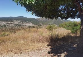 Foto de inmueble en Viñedos San Miguel, Cto. Malbec Oriente, Col. Comonfort Centro C.P. 38200, Comonfort
