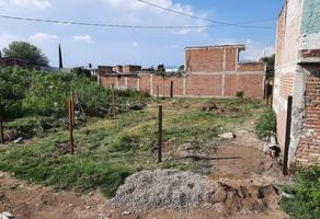 Foto de inmueble en Terreno Venta en San Carlos La Roncha en León, Gto, Col. San Carlos C.P. 37544, León
