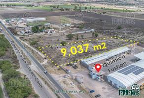 Foto de inmueble en Hectarea en Renta Sobre Carretera a Santa Ana del Conde, Col. Santa Ana del Conde C.P. 37686, León