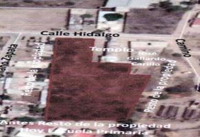 Foto de inmueble en av principal, Col. Tamazula C.P. 36976, Abasolo