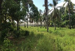 Foto de inmueble en Huerta en Venta en Alfredo V. Bonfil, Col. Alfredo V Bonfil C.P. 39893, Acapulco de Juárez