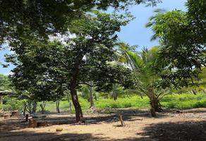 Foto de inmueble en , Col. Coacoyul C.P. 40882, Zihuatanejo de Azueta