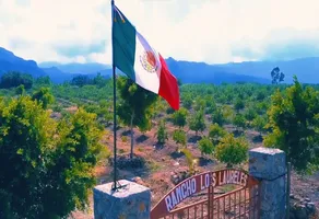 Foto de inmueble en Carretera Ixtapan-Pilcaya, Col. Pilcaya C.P. 40380, Pilcaya