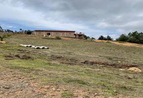 Foto de inmueble en Carr. Tulancingo-Huachinango, Col. La Cienega C.P. 43710, Tulancingo de Bravo