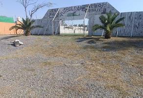 Foto de inmueble en Matamoros, Col. La Peña C.P. 42700, Mixquiahuala de Juárez