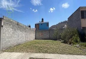 Foto de inmueble en Venta de Terreno los Sabinos, Col. Los Sabinos C.P. 43629, Tulancingo de Bravo
