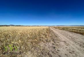 Foto de inmueble en , Col. San Pedro Huaquilpan C.P. 42192, Zapotlán de Juárez