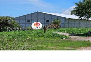 Foto de inmueble en Manzana, Col. Teofani C.P. 42640, San Salvador