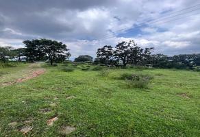Foto de inmueble en RANCHO ZACAMECATE, Col. Acatic C.P. 45470, Acatic