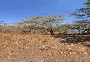 Foto de inmueble en BOSQUE DE LOS COLOMOS #25, Col. Bosques de San Isidro C.P. 45133, Zapopan