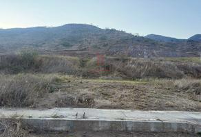 Foto de inmueble en , Col. Ciuhapilli C.P. 49817, Tuxpan