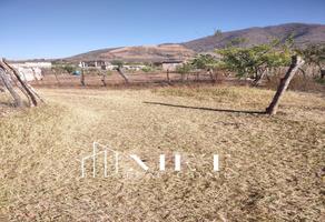 Foto de inmueble en , Col. Colonos C.P. 46507, Etzatlán