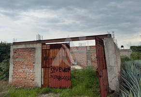 Foto de inmueble en El Medineño, Col. El Maloaste C.P. 46403, Tequila