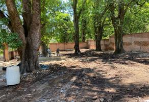 Foto de inmueble en , Col. El Maloaste C.P. 46403, Tequila