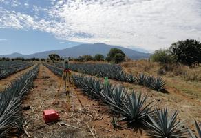 Foto de inmueble en Villa Volcán de Tequila, Col. El Maloaste C.P. 46403, Tequila