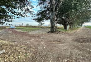 Foto de inmueble en BENITO JUAREZ, Col. El Zapote Del Valle C.P. 45672, Tlajomulco de Zúñiga
