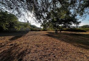 Foto de inmueble en Calzada de las amapolas, Col. Jardines de La Calera C.P. 45676, Tlajomulco de Zúñiga
