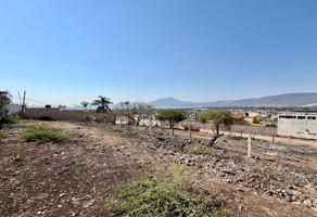 Foto de inmueble en Allende Norte, Col. La Hielera C.P. 45802, Jocotepec
