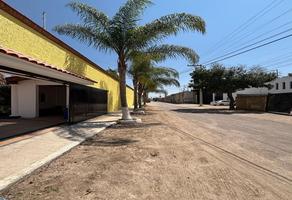 Foto de inmueble en Guadalupe victoria, Col. Las Pintitas Centro C.P. 45693, El Salto