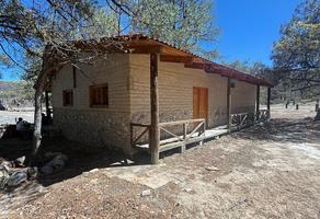 Foto de inmueble en Sierra de Laurel, Col. Lomas Santa Teresa C.P. 47254, Villa Hidalgo