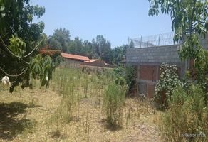 Foto de inmueble en P del Tigre, Col. Lomas de San Agustin C.P. 45650, Tlajomulco de Zúñiga