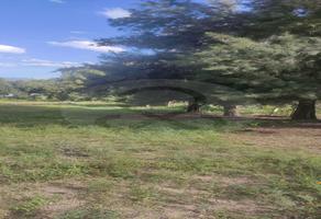 Foto de inmueble en Amado Partido Luna sn, Col. Lomas de Tejeda C.P. 45641, Tlajomulco de Zúñiga