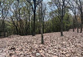 Foto de inmueble en Bosque de  la Primavera #40, Col. Mariano Otero C.P. 45067, Zapopan